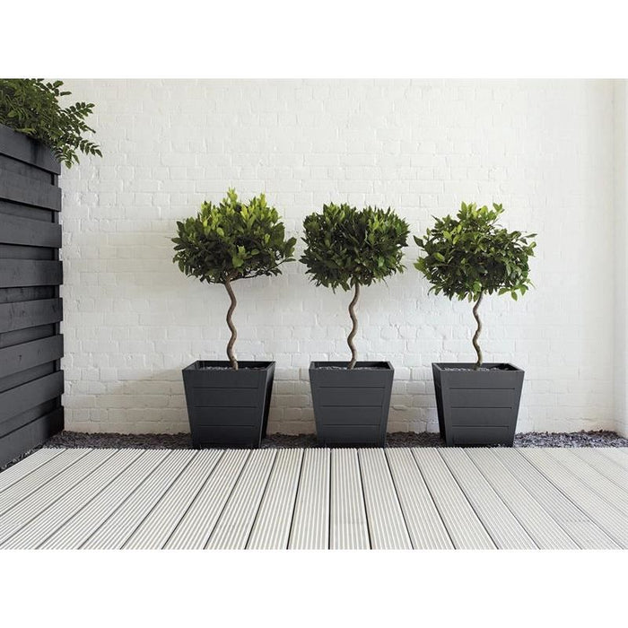 Ronseal Garden Paint Blackbird 250ml Ronseal - Town Tools