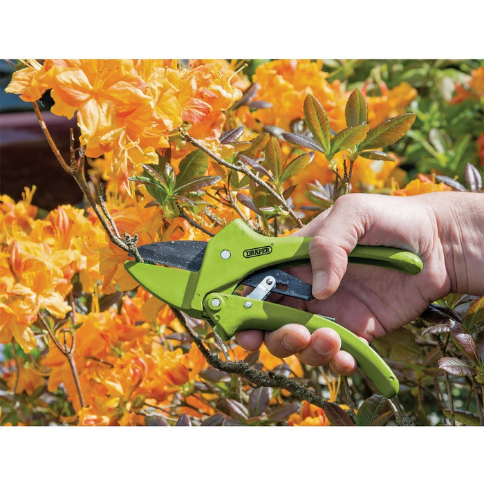 Draper Ratchet Action Anvil Pattern Secateurs, 190mm 34478 Draper - Town Tools 