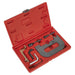 Sealey Petrol Engine Timing Tool Kit for Renault 1.4 1.6 1.8 2.0 K4J/K4M/F4P/F4R Sealey - Town Tools 