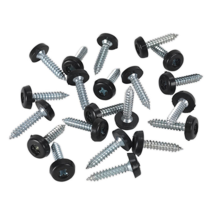 Sealey Clip Strip Deal - Mixed Numberplate Screws NPSSET Sealey - Town Tools 