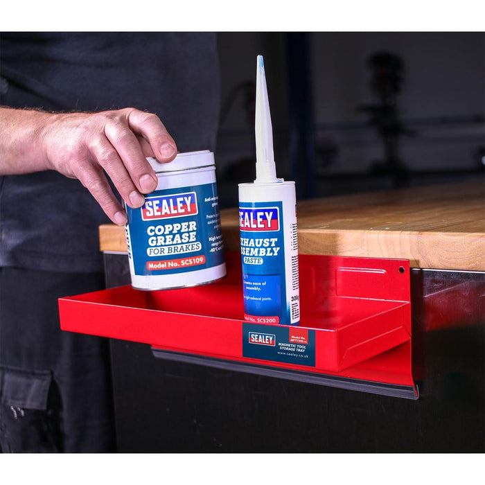 Sealey Magnetic Tool Storage Tray 310 x 115mm APTT310 Sealey - Town Tools 