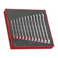 Teng Tools Combination Spanner Set Anti Slip FOAM2 12 Pieces