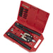 Sealey Rivet & Threaded Nut Rivet Kit AK39602 Sealey - Town Tools 