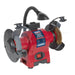 Sealey Bench Grinder150mm & Wire Wheel Combination with Worklight 250W/230V Sealey - Town Tools 