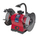 Sealey Bench Grinder200mm with Worklight 550W/230V BG200WL Sealey - Town Tools 