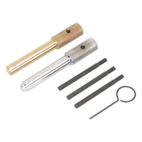 Sealey Diesel Engine Timing Tool Kit for Ford Fiat JLR LDV PSA 2.0D 2.2D 2.4D 3.