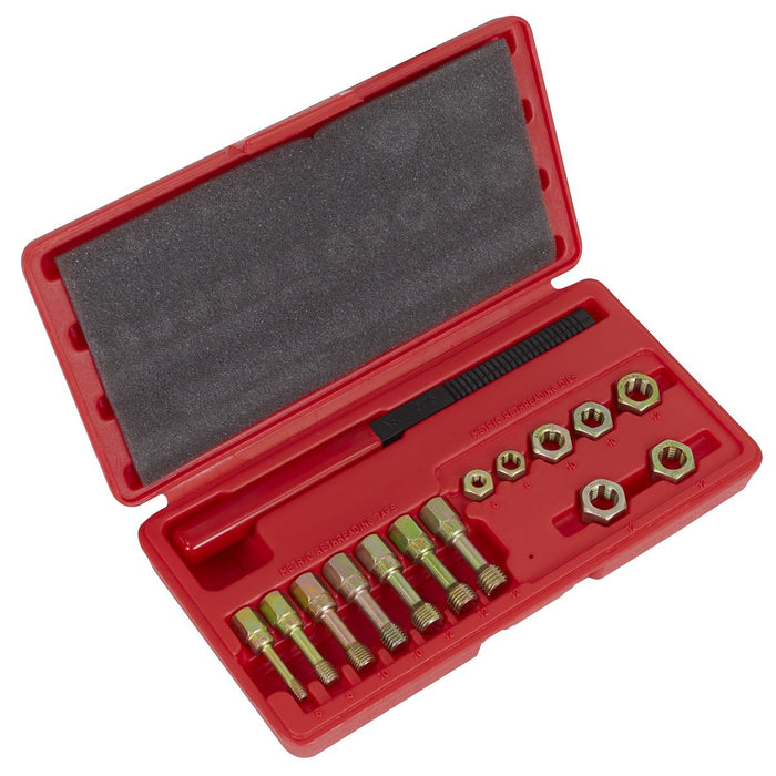 Sealey Re-Threader Kit 15pc AK310 Sealey - Town Tools 