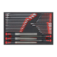 Teng Tools Spanner & File Set FOAM4X4 32 Pieces