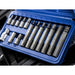 Bluespot Tools Hex Bit Set, 15 Piece BlueSpot Tools - Town Tools