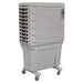 Sealey Commercial Portable Air Cooler SAC125 Sealey - Town Tools 
