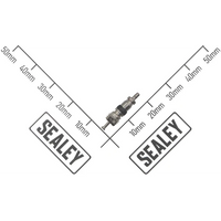 Sealey Filler Valve