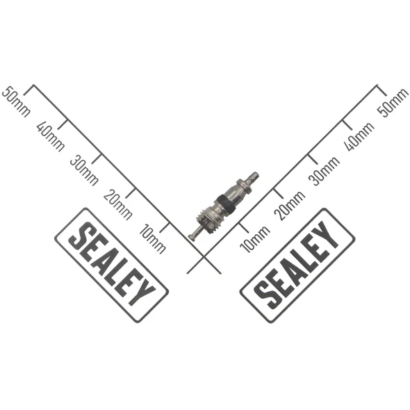 Sealey Filler Valve