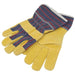 Draper Young Gardener Gloves, Size 6 28589 Draper - Town Tools 