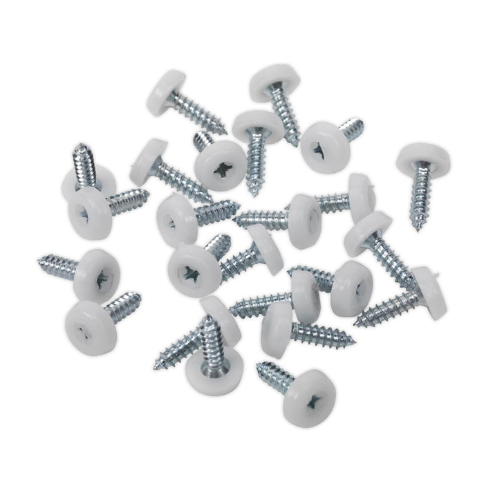 Sealey Clip Strip Deal - Mixed Numberplate Screws NPSSET Sealey - Town Tools 