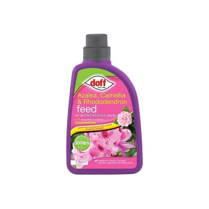Doff Azalia, Camellia, Rhododendron Feed Concentrate 1 litre DOFF - Town Tools