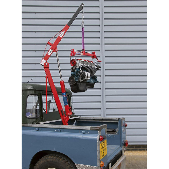Sealey Static Mounted Crane 750kg SSC750 Sealey - Town Tools 