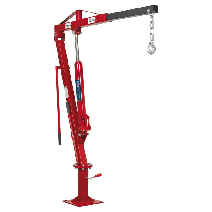 Sealey Static Mounted Crane 750kg SSC750 Sealey - Town Tools 