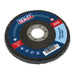 Sealey 115mm Zirconium Flap Discs 120Grit 22mm Bore - Pack of 10 FD11512010 Sealey - Town Tools 