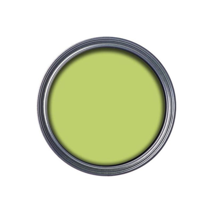 Ronseal Garden Paint Lime Zest 250ml Ronseal - Town Tools