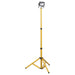 Sealey Telescopic Floodlight 10W SMD LED 110V Sealey - Town Tools 