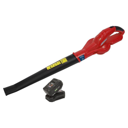 Sealey Leaf Blower Cordless 20V SV20 Series with 4Ah Battery & Charger Sealey - Town Tools 