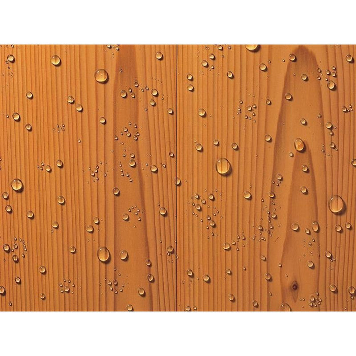 Ronseal Thompson's One Coat Water Seal 2.5 litre Ronseal - Town Tools