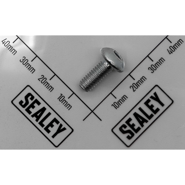 Sealey Bolt for Frame