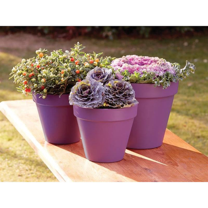 Ronseal Garden Paint Purple Berry 2.5 litre Ronseal - Town Tools