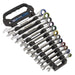 Sealey Premier Platinum Premier Platinum Combination Ratchet Spanner Set 12pc Sealey Premier Platinum - Town Tools 