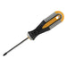 Roughneck Screwdriver Pozidriv Tip PZ1 x 75mm Roughneck - Town Tools