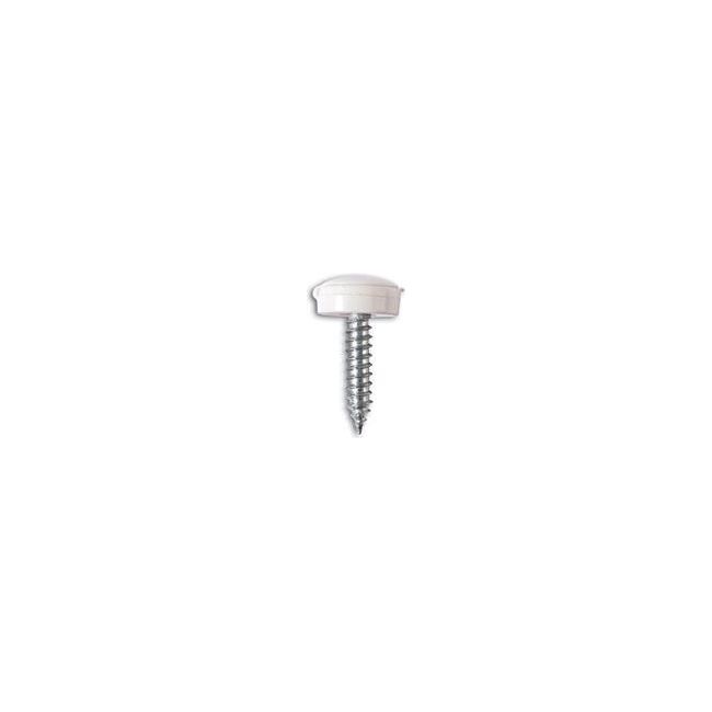 Connect Self Tapping Screws 8 x 3/4" White Cap 100pc 31538 Tool Connection - Town Tools 