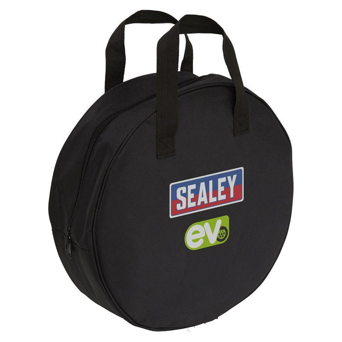 Sealey Portable EV Charger Type 2 to UK 10A 5m Cable EVPC2 Sealey - Town Tools 