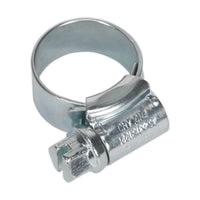 Sealey HI-GRIPï Hose Clip Zinc Plated11-16mm Pack of 30 HCJM00