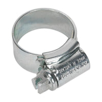 Sealey HI-GRIPï Hose Clip Zinc Plated14-22mm Pack of 30 HCJ0