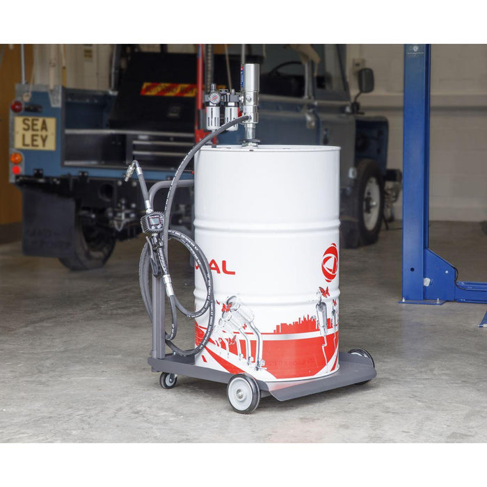 Sealey Air Operated Oil Dispensing System AK4561D Sealey - Town Tools 