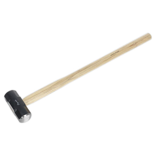 Sealey Sledge Hammer 10lb Hickory Shaft SLH10 Sealey - Town Tools 