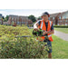 Draper Petrol Hedge Trimmer, 500mm, 22.5cc 32319 Draper - Town Tools 