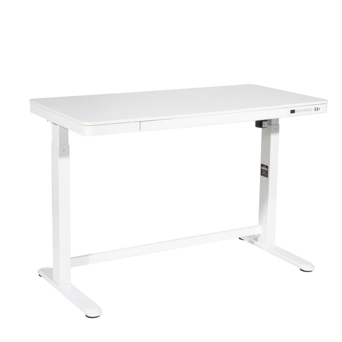 Dellonda Single Motor Ultra-Quiet Electric Desk with Control Panel USB Port