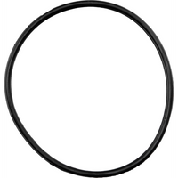 Sealey Valve Plate O-Ring SAC01VLN-09