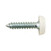 Connect 31549 Number Plate Screw Blue No 10 x 1 100pc Connect - Town Tools 