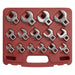 Sealey Crow's Foot Open-End Spanner Set 15pc 3/8"Sq Drive Metric AK59891 Sealey - Town Tools 