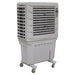 Sealey Commercial Portable Air Cooler SAC125 Sealey - Town Tools 