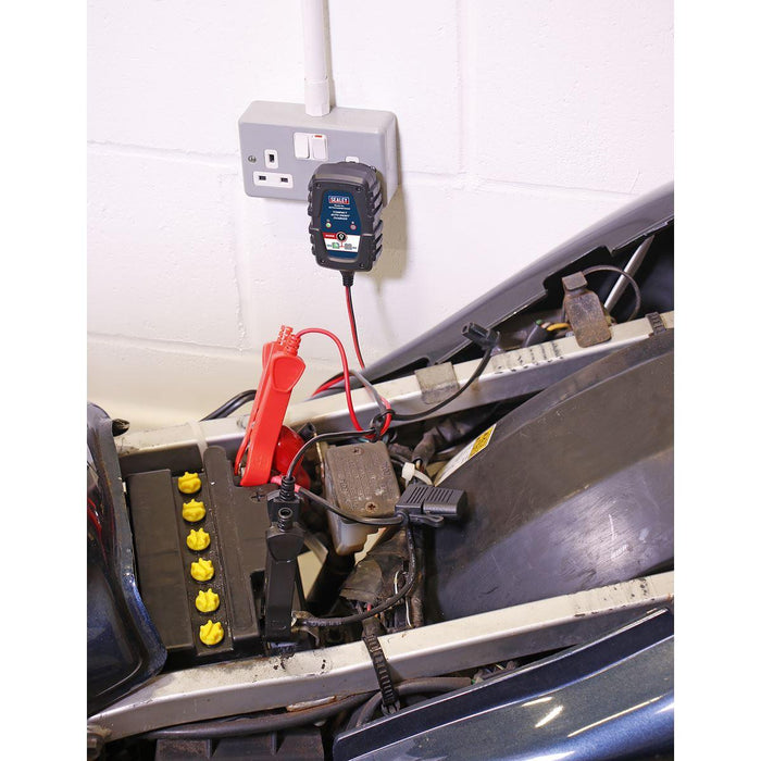 Sealey Compact Smart Trickle Charger & Maintainer 1A 6/12V AUTOCHARGE100HF Sealey - Town Tools 