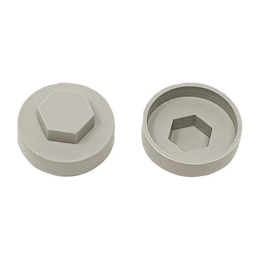 Forgefix TechFast Cover Cap Goosewing Grey 19mm (Pack 100) ForgeFix - Town Tools