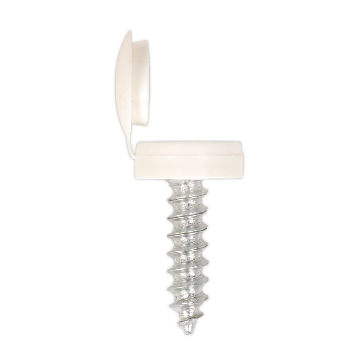 Sealey Clip Strip Deal - Mixed Numberplate Screws NPSSET Sealey - Town Tools 