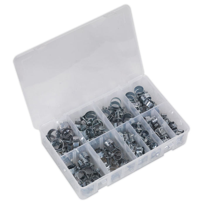 Sealey Mini Hose Clip Assortment 100pc AB042MH Sealey - Town Tools 