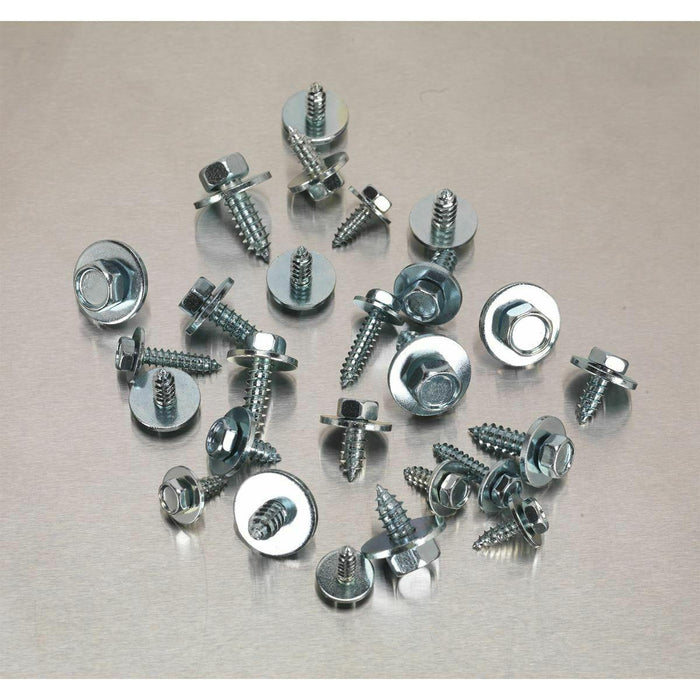 Sealey Acme Screw with Captive Washer Asstmt 300pc Zinc BS 4174CZ AB067SM Sealey - Town Tools 