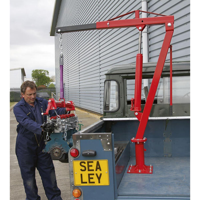 Sealey Static Mounted Crane 750kg SSC750 Sealey - Town Tools 