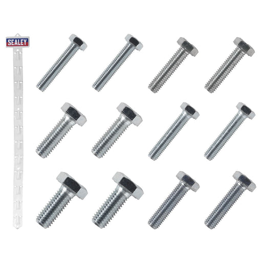 Sealey Clip Strip Deal - Set Screws SCREWSET Sealey - Town Tools 
