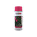 Plastikote Garden Colours Spray Paint Azalea 400ml PlastiKote - Town Tools